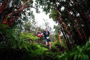 BIB: 
                            <button type="button" onclick="openModal(26203190)" class="btn btn-primary btn-sm float-right btn-popup" data-toggle="modal" data-target=".modal-high-quality">
                        <i class="fas fa-shopping-cart"></i> Add to Cart
                    </button>
                                            <button type="button" onclick="isThisMe(26203190, true)" class="btn btn-success btn-sm float-right btn-popup btn-isme hidden" data-toggle="tooltip" data-placement="bottom" title="นี่คือรูปของคุณใช่ไหม คลิกที่นี่เพื่อเอาเข้าอัลบั้ม">
                        <i class="fas fa-plus"></i> Add to album
                    </button>
                    <button type="button" onclick="isThisMe(26203190, false)" class="btn btn-warning btn-sm float-right btn-popup btn-isnotme hidden">
                        <i class="fas fa-ban"></i> Remove from album
                    </button>